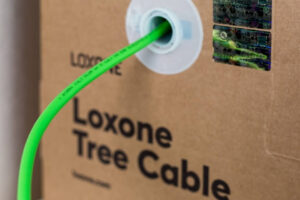 Czy funkcjonalność przewodu Loxone Tree uzasadnia jego wysoką cenę?